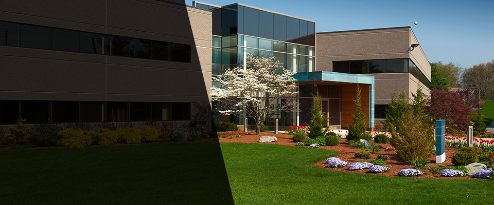 Palm Springs Landscapers