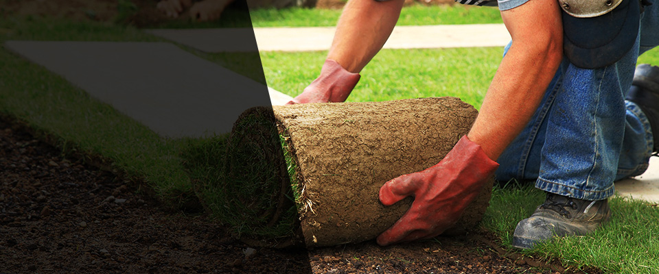 Palm Springs Landscapers